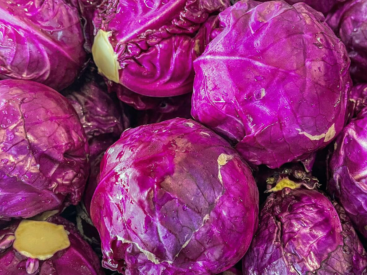 close-up of a pile of red cabbage