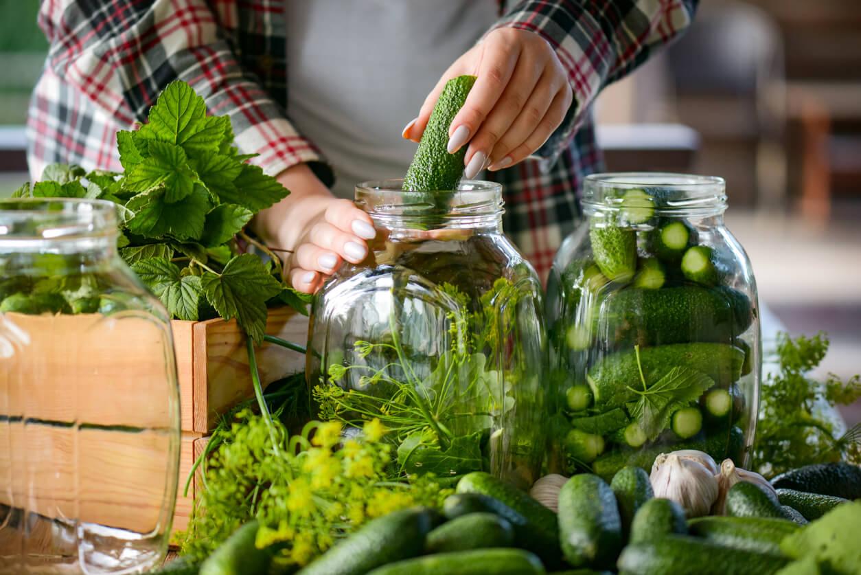 Young woman makes homemade Pickled cucumber preparations
