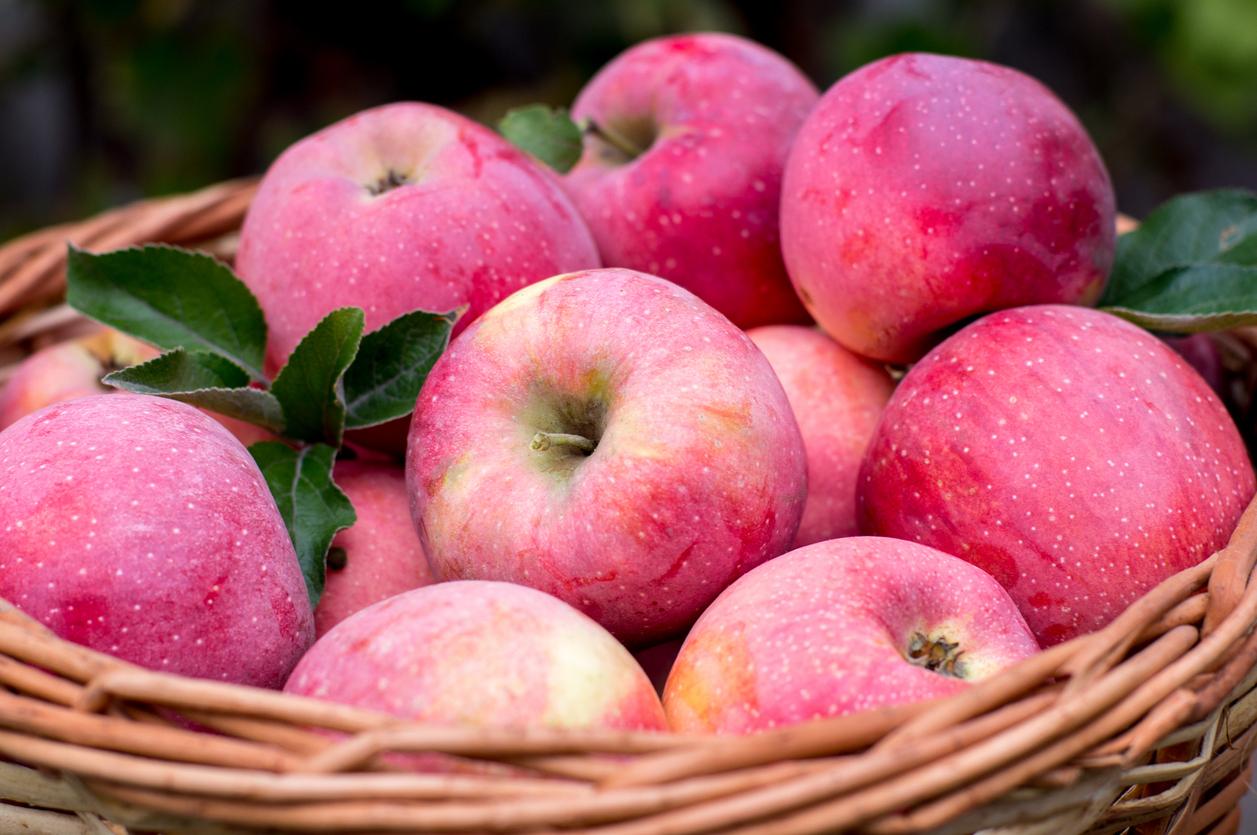 Cripps Pink apples and Pink Lady apples are the exact same apple with the same pink color and quality. The only difference is that Pink Lady® is a registered trademark of the Pink Lady Apple Association. Pink Lady® was one of the first apples to be marketed under a specific brand name rather than by its variety name."n